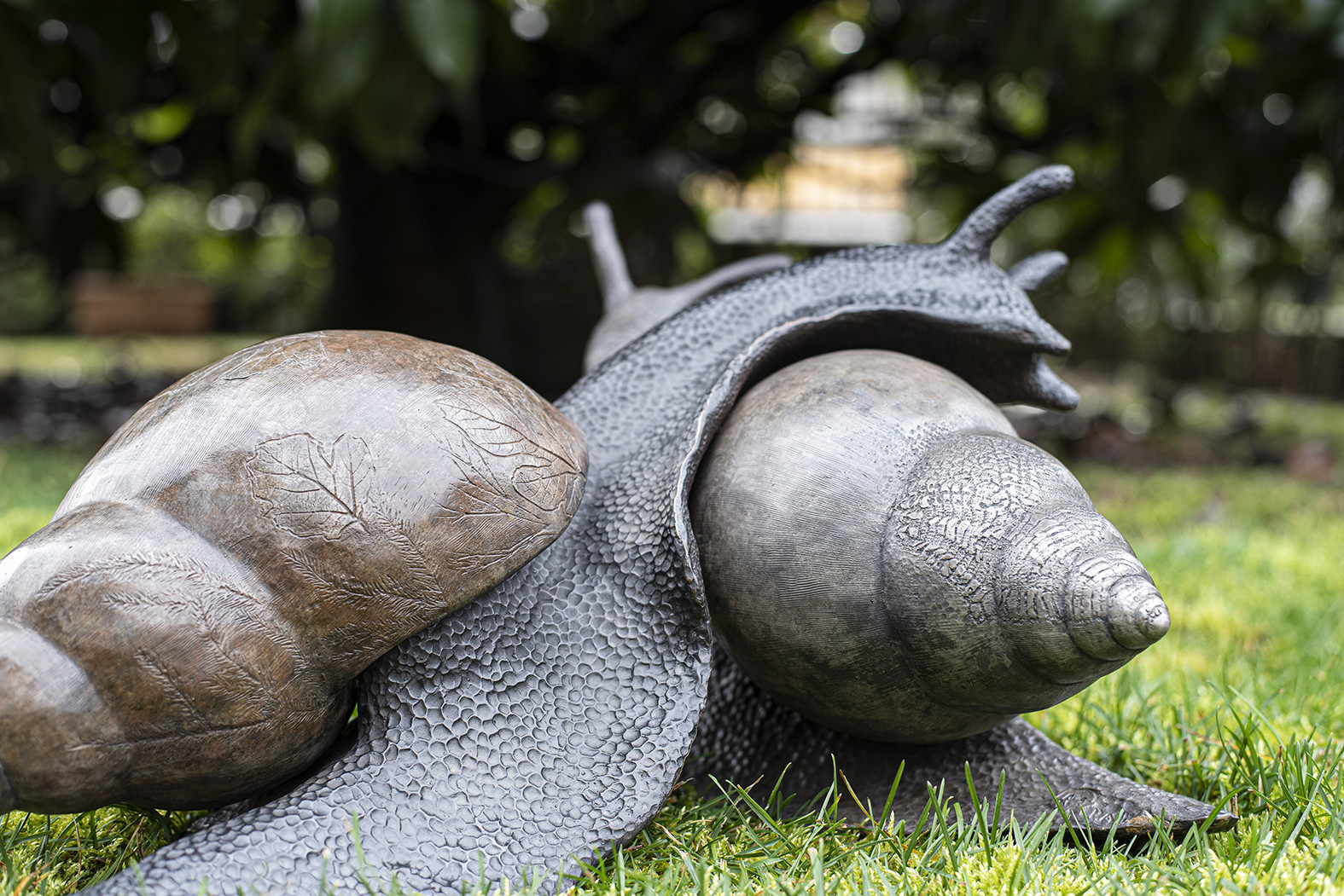 In+an+uncertain+Era%2C+where+barriers+distance+and+separate%2C+two+sister+Snails+drag+their+homes%2C+share+memories+and+overcome+all+contemporary+oblivion.%3Cbr+%2F%3E%0D%0AThe+Confidantes+by+Asli+Saglam%3Cbr+%2F%3E%0D%0A